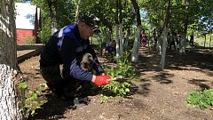 Общими усилиями привели в порядок территорию детского палаточного лагеря «Спартанец» и общественные места в Питерке