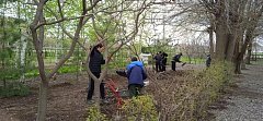 В районе продолжается месячник по благоустройству