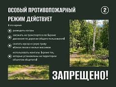 В регионе действует особый противопожарный режим 
